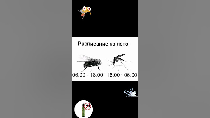 Они вернулись.. 😂😅 #комары #жизнь #ютуб #мухи