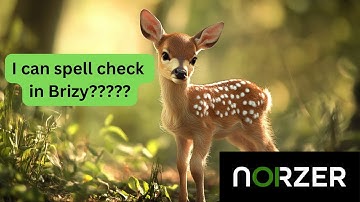 How to configure grammar and spell checking in WordPress Brizy Website Page Builder | Not Grammarly