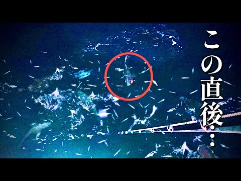 【神回】堤防の足元に大量発生！？最強の超巨大魚にルアーを投げると…