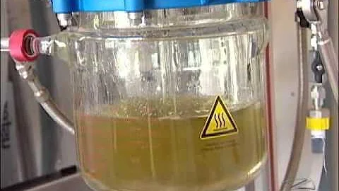 Qual é a importância do biodiesel para o meio ambiente?