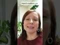 Поздравляю с 23 февраля! #защитимчестных
