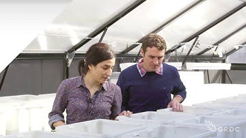 Integrated Pest Management to combat the Russian Wheat Aphid