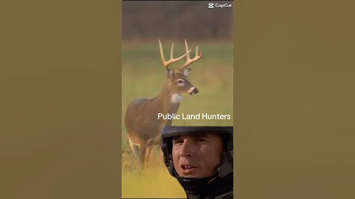 Different types of hunters #hunting #deerhunting #huntingseason #deerseason #publicland #bowhunting