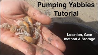 Pumping Yabbies Tutorial - Location, Gear, Method & Storage. Wayne Groomes