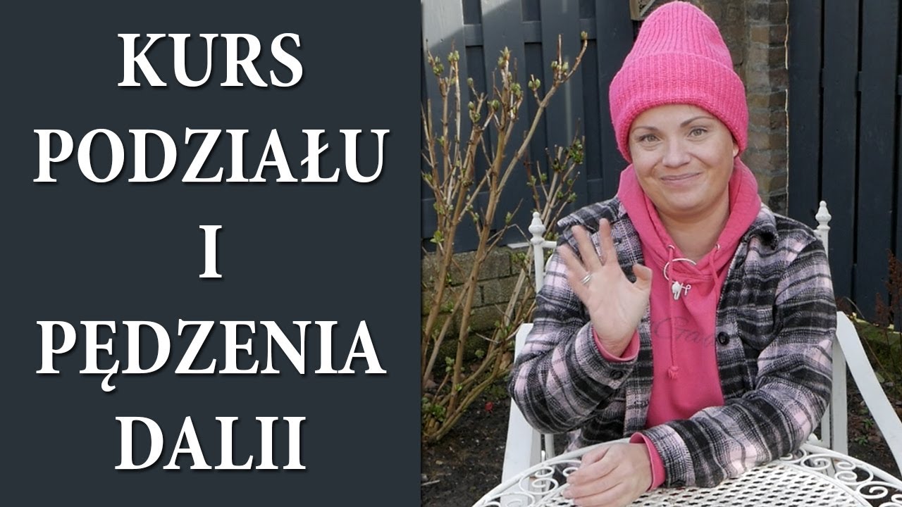 Jak bezstresowo podzielić KARPY DALII + 3 sposoby pędzenia / Wybudzamy Dalie / MrsGarden