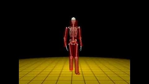 Dynamics locomotion analysis (1/2)
