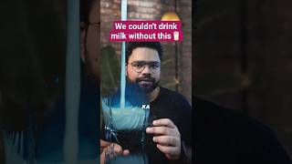 Why Humans Can Still Drink Milk