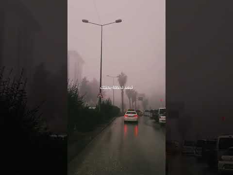 حبيبي ليك عمار الديك   ستوريات اغاني تصويري اكسبلور