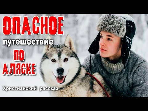 ❄Опасное путешествие по Аляске!❄ ОЧЕНЬ интересный рассказ для детей и подростков!