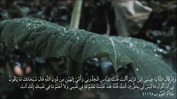 ماتيسر من( سورة المائده) ~للقارئ عمر محمد ♥✨