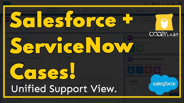 Salesforce & ServiceNow Case Tracking: Real-time Charts on Account (Unified View!)