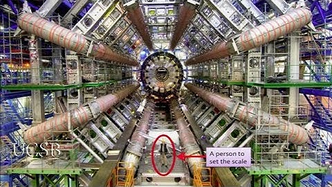 Searching for the Genetic Code of our Universe