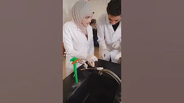 تعلم مسك الفار كليه الصيدله 