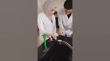 تعلم مسك الفار كليه الصيدله 