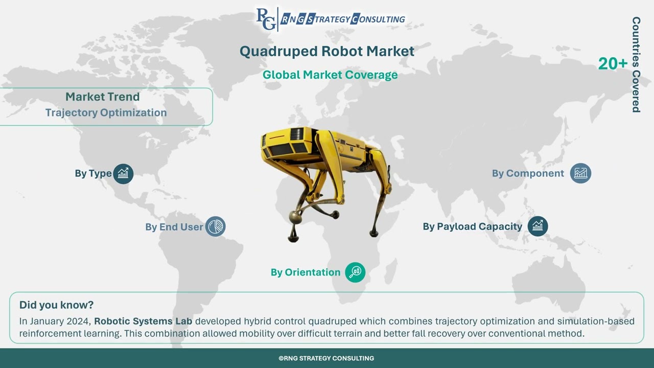 Quadruped Robot Market | RNG Strategy Consulting | Market Research | Consulting
