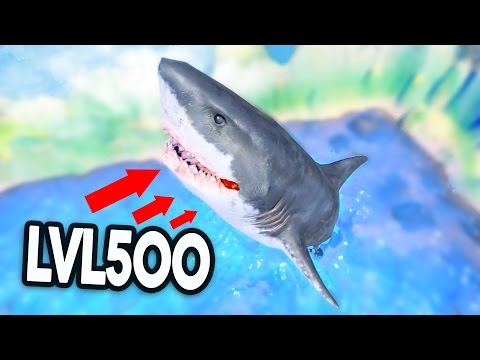 LVL500 GREAT WHITE SHARK! - Feed and Grow Fish