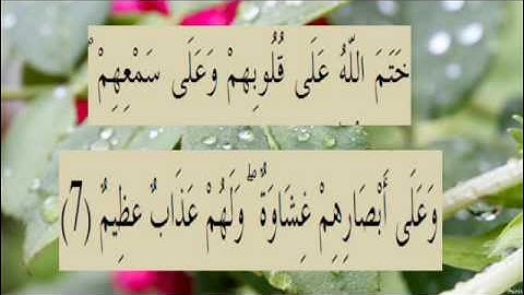 القران الكريم سورة البقرة الاية 7