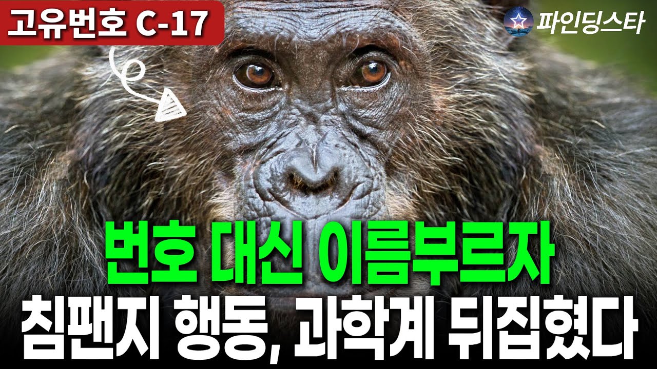 침팬지에게 사람 이름 지었더니.. 인류 역사가 뒤집혔다 | 고유번호 C-17의 비밀