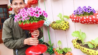 Recycle Mineral Water Bottle Into Beautiful Flower Pot For Your Small Garden