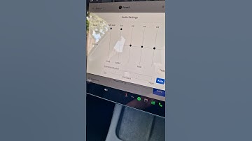 Tesla Model Y Audio Settings