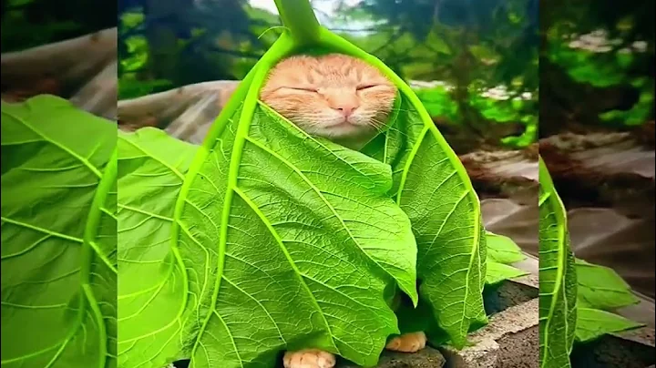 Crystal Skies (sped up)