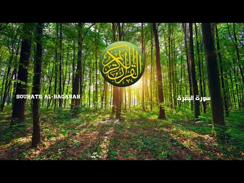 Sourate Al Baqarah (sans publicité - بدون إعلانات) Maher Al Muaeqly - Al islem - الاسلام YT