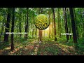 Sourate al baqarah sans publicit    maher al muaeqly  al islem   yt