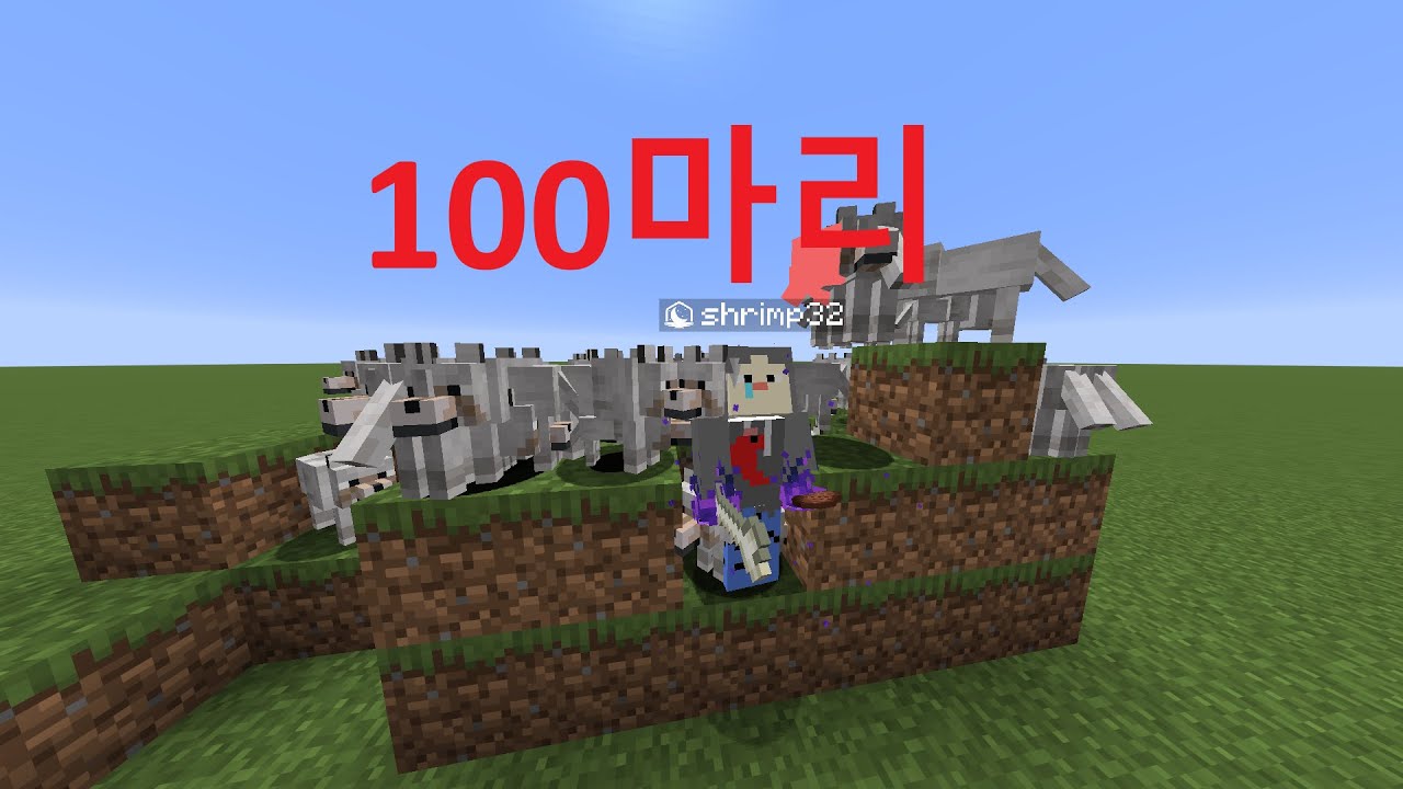 강아지 100마리 길들이기