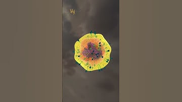 oxygen is injurious to health 🥲 #universe #facts #oxygen #physics #chemistry #biology #shorts