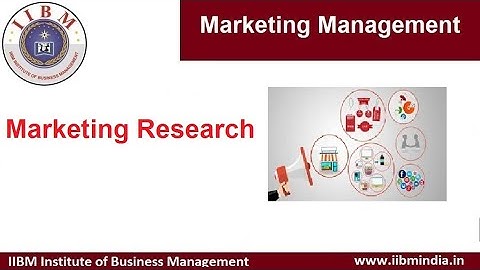 IIBM Institute | Marketing Management | Marketing Research