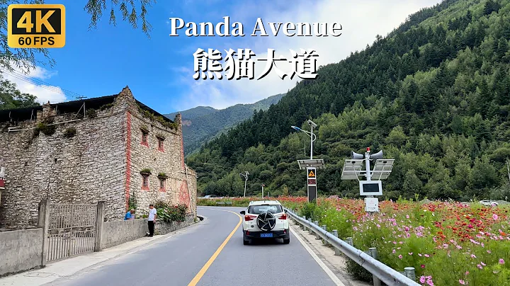 Driving on the China Panda Avenue - Dawei Town, Aba Prefecture, Sichuan Province to Siguniang Town - 天天要聞