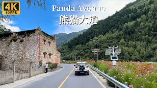 Driving on the China Panda Avenue - Dawei Town, Aba Prefecture, Sichuan Province to Siguniang Town