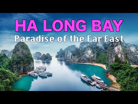 Video: 8 Saker Att Veta Innan Du Besöker Ha Long Bay I Vietnam