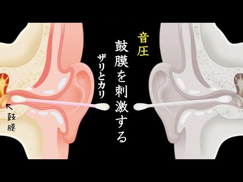 ASMR片耳ずつ鼓膜を刺激しすぎる？耳掃除