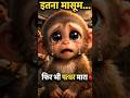 सिर्फ थोड़ा सा खाना चाहिए था… फिर भी पत्थर मारा 💔 | आगे जो हुआ सब हैरान रह गए 😢 #shorts