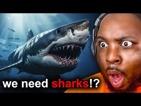 What they DON’T tell us about Sharks...