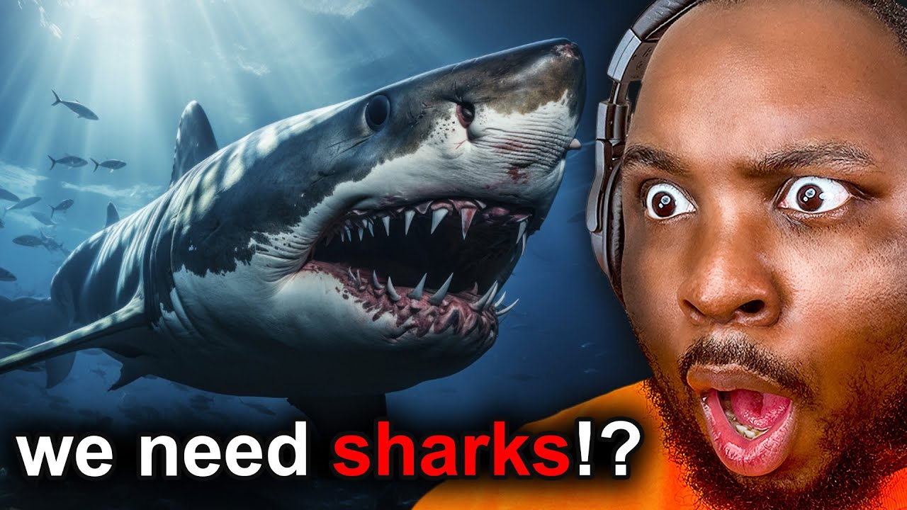 What they DON’T tell us about Sharks...