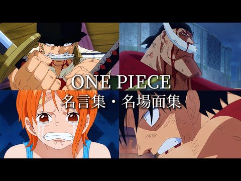 【名言集・名場面集】ONEPIECE✖️One day