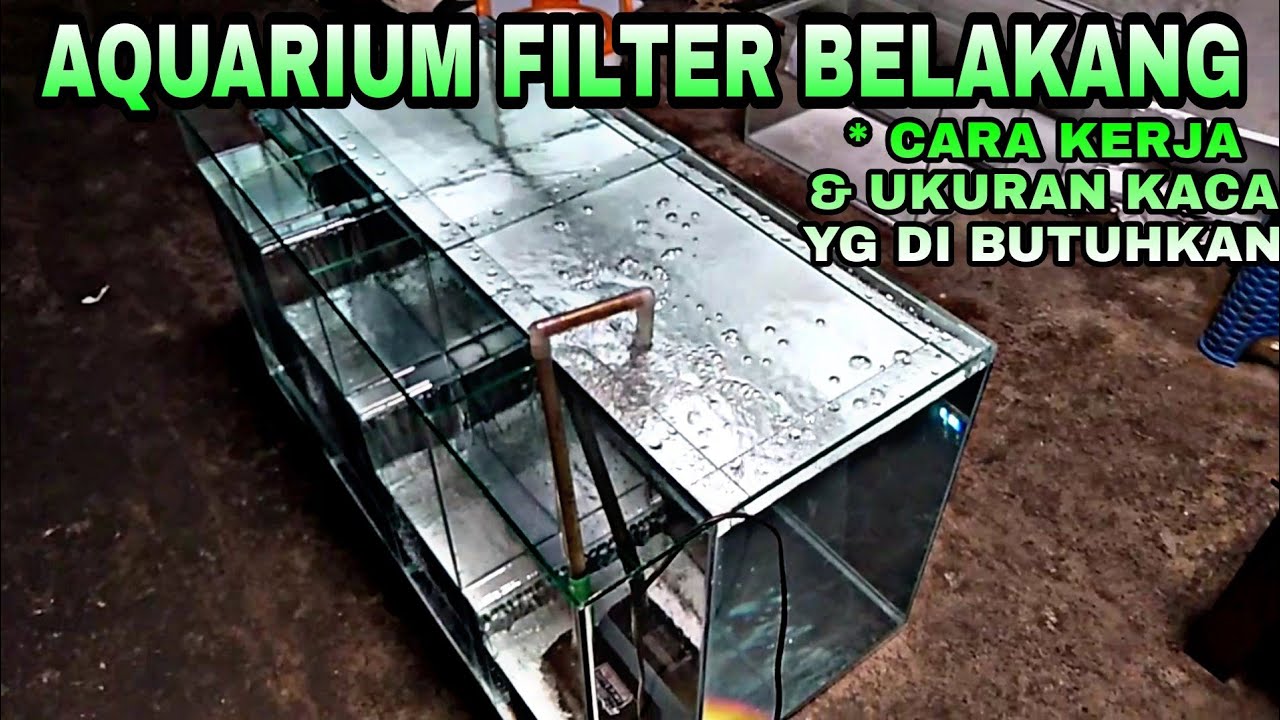 Cara Memasang Filter Aquarium Yang Benar Kompas Sekolah