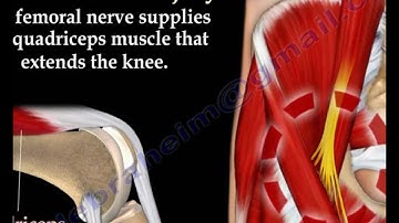 NERVE INJURIES,INJURY - Everything You Need To Know - Dr. Nabil Ebraheim