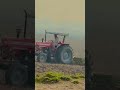 385 tractor Dii Feeling hii wakhri a #385tractor #potatofarming #potatotype  #cultivator #farming