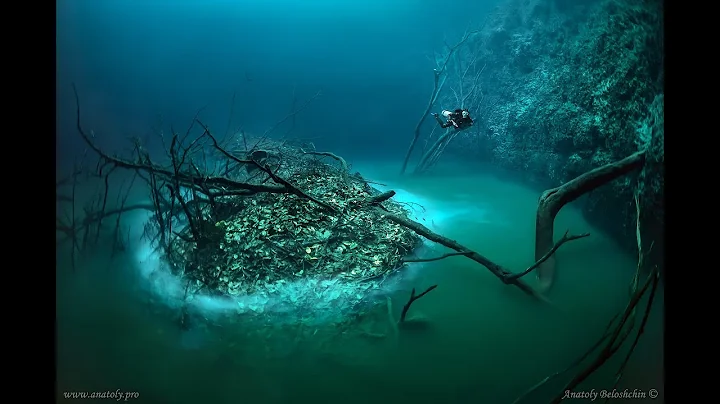 Cenote Angelita: "Underwater River"