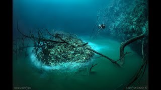 Cenote Angelita: "Underwater River"