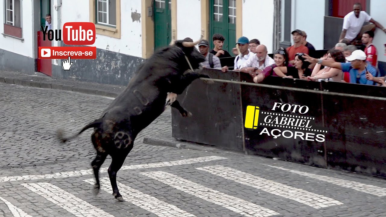 Tourada à Corda - Desterro 13-09-2025 Ganadeiro O.T.T.