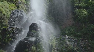 how to install mininet