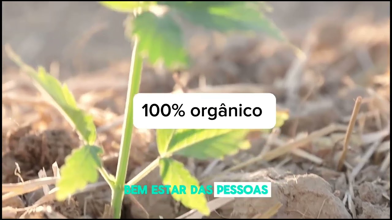 Institucional CBD ALCHEMY BRASIL