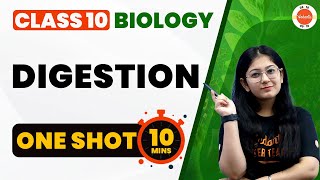 Digestion Class 10 One Shot Revision in 10 Mins | Life Processes Class 10 Science Biology #CBSE2024