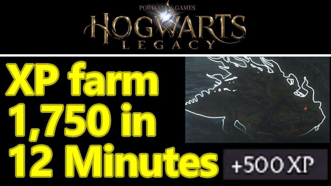 Hogwarts Legacy level up fast with this 1,750 xp in 12 minutes xp farm