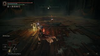 ELDEN RING Midra, Lord of Frenzied Flame (Parry / No Damage)