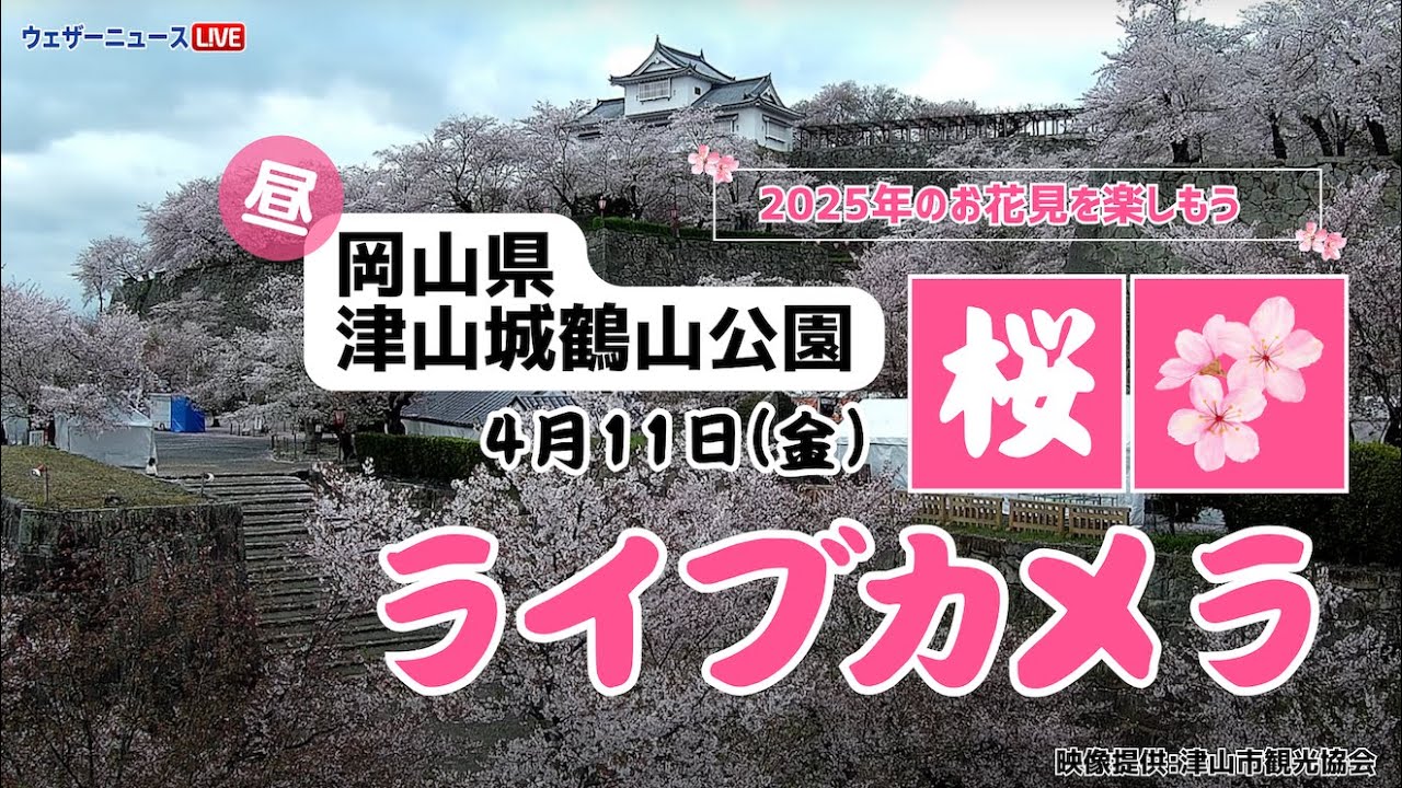 ライブ カメラ 津山